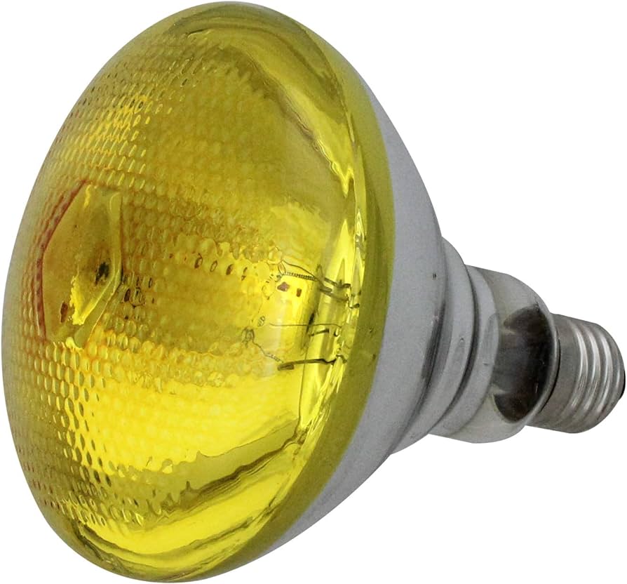 led flood light bulbs