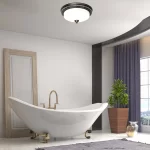 bathroom fan with light