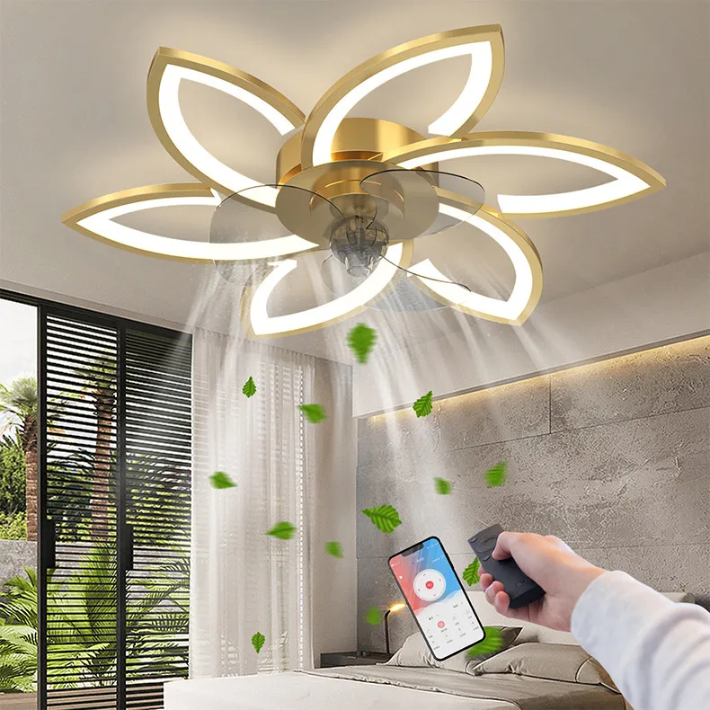 	
ceiling fan with light