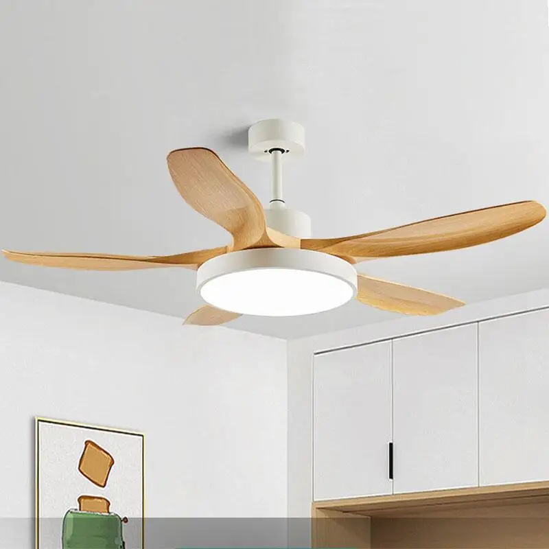 fan light